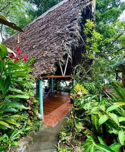 Tampilan eksterior, Palmeras del Rio HOTEL in Livingston