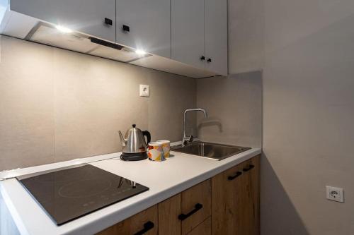 One-Bedroom Apartment image 10