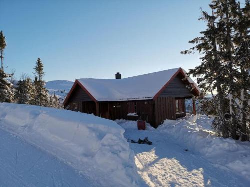 Høyfjellshytte