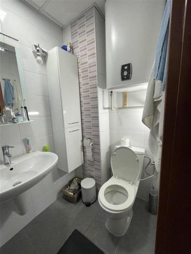 Cozy Penthaus, Skopje (photo 5)