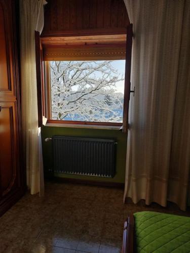 A due passi dai lupi