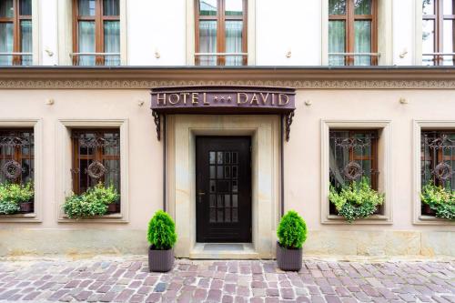 David Boutique ApartHotel, Cracovia (foto 4)