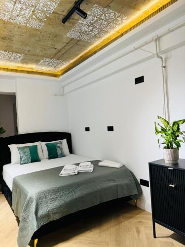 Green view aeroport near Iași International Airport