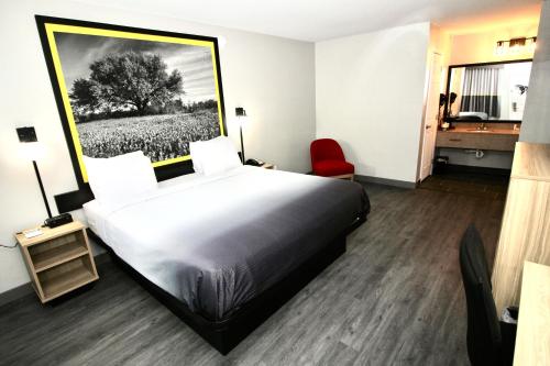 Super 8 by Wyndham Temple - image 13