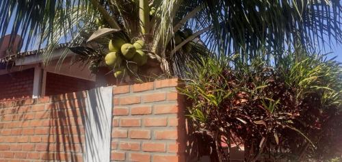 Chale jane in Vila Sao Jose