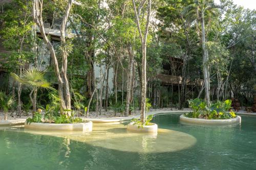 1 Bedroom-Tulum-Private pool in Tulum, Mexico