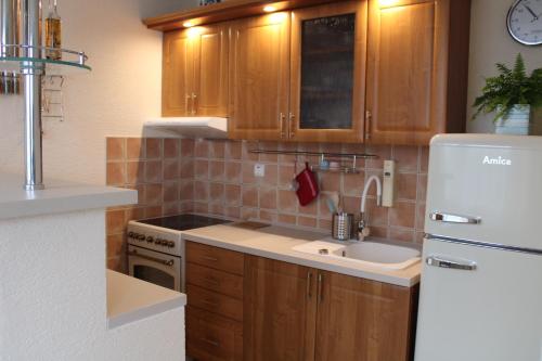 Sun Apartment, Teplice (fotografie 6)