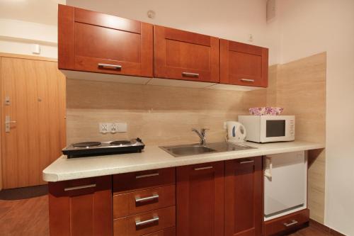 ApartSerwis - Apartment U Sabały Centrum, Zakopane (fotografie 7)