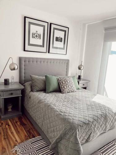 Casa Allende Residencia en SMA Casa Allende Residencia en SMA