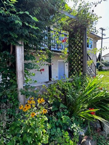 Monthly stay upper floor suite with Garden view near SFU & Skytrain in Coquitlam (BC)