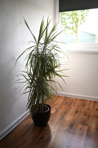 Ferienwohnung Siegen Ferienwohnung Siegen