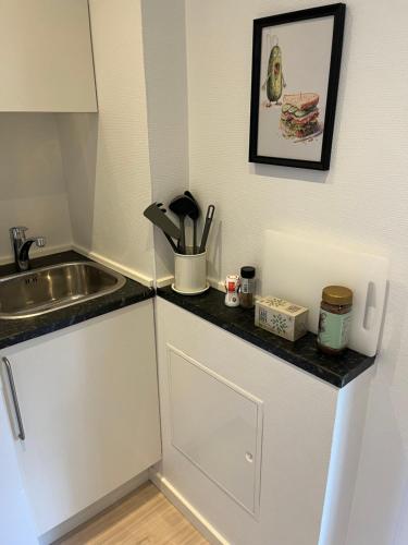 ห้องครัว, Billund mini Hostel room 14 - Close to LEGO HOUSE and Town Center in บิลลันด์