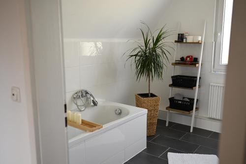 Ferienwohnung Siegen Ferienwohnung Siegen