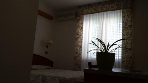 Фотография номера гостиницы Hotel Le Viole