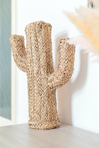 Cactus2023, Roma (foto 7)