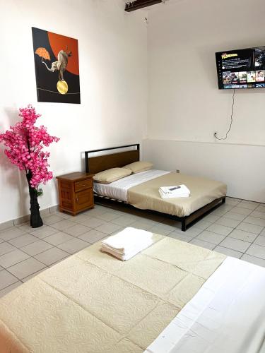 Hotel Cuauhtemoc – Querétaro, TX