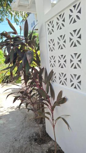 Amanda's Place Green Studio - pool and tropical garden