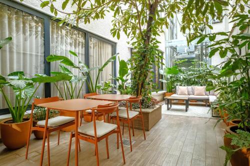 District Polanco by Lumina - image 3