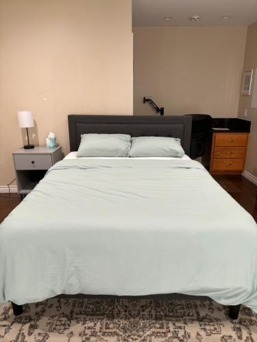 Large en suite room, walk to UCLA, free parking available with notice in Los Angeles, USA