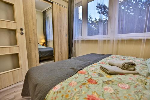 Karolina Apartman in the silent 11th district - image 12