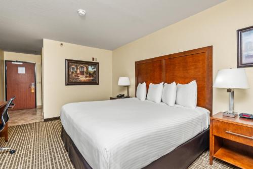 King Room - Disability Access/Non-Smoking image 8