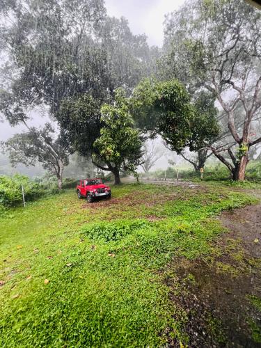 Apkārtne, 7FORT HOMESTAY Athirappilly in Athirapally