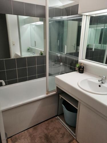 Les fontaines T4 Spacieux 3 chambres parking gratuit, Toulouse (foto 8)