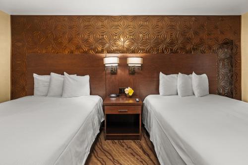 Queen Suite - Non-Smoking image 8