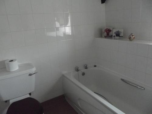 Plas Coch Hotel Ltd - image 5