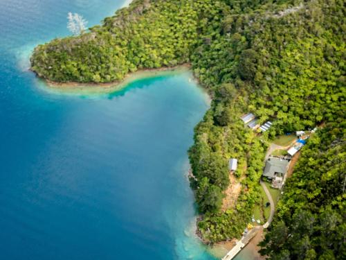 Deluxe Double or Twin Room with Garden View