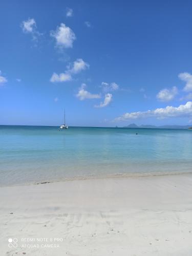 Appartement Alizé Vue Imprenable Sur La mer