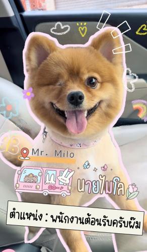 โรงแรมกาญจนาสกลนคร โรงแรมกาญจนาสกลนคร