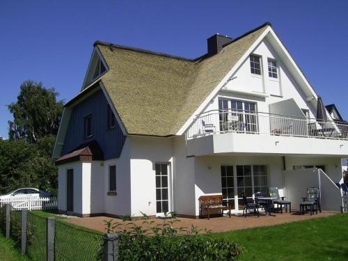 Sonnenblume in Zingst, Deutschland