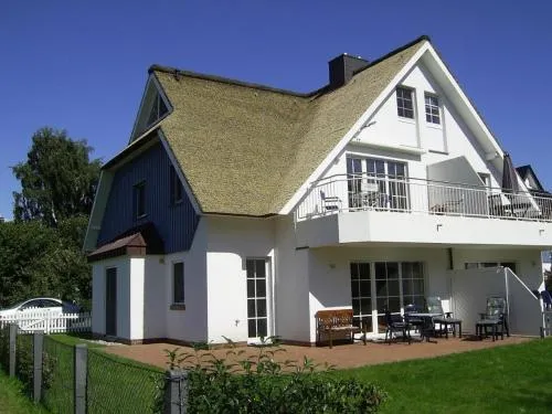 Sonnenblume in Zingst, Deutschland