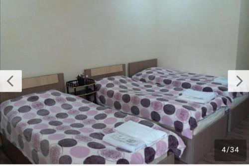 Farmer's House B&B in Areni