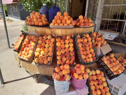 Farmer's House B&B in Areni