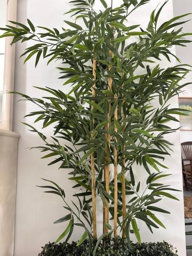 El Cortijo El Cortijo