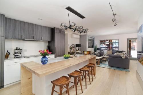 New 2 BR 2 and a half Bath - Luxurious Aspen Mountain Modern! detail