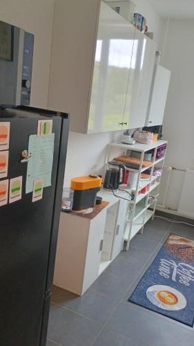 مطبخ, Ferienwohnung Appartment in Coswig