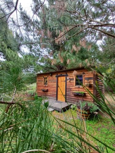 Holt Hill Foreststay, Plettenbergbay 4