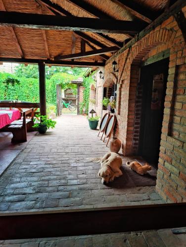 Restorāns, Hedonists Paradise in Vinca