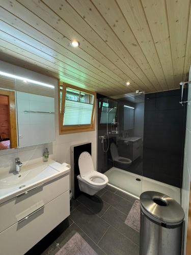 Chalet Berken in Ernen, Schweiz