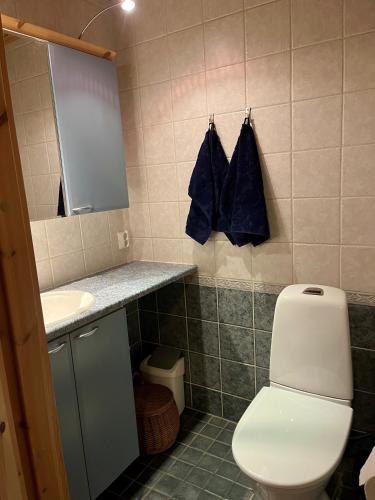 Bathroom, Sirovilla in Nilsia