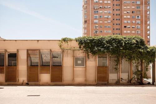 Lofts plaza JM Orense B