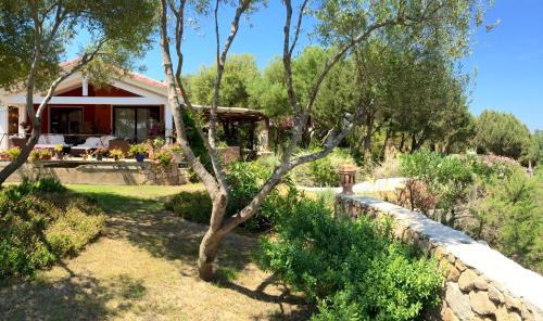 Domus de Rocas Holiday House