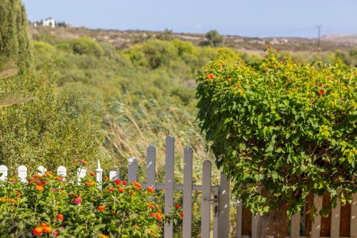 Villa with Sea View image 4
