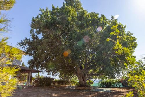 Villa with Sea View image 5