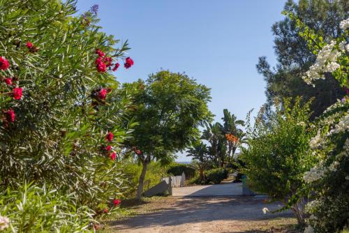 Villa with Sea View image 3