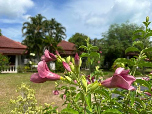 Samui Garden Resort