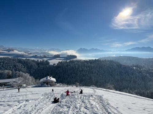 A környék, Swiss Alps in Herbligen